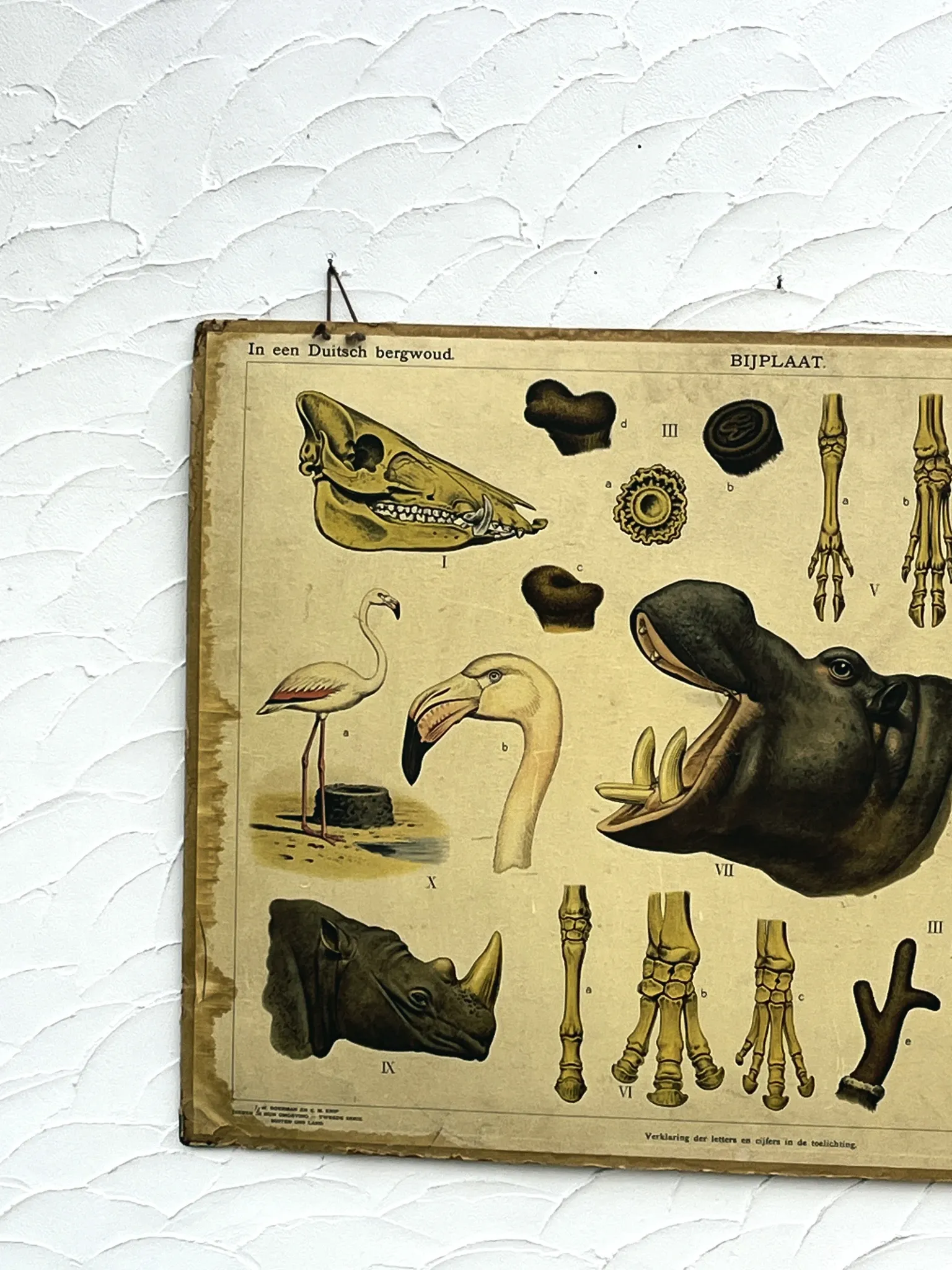 School poster J.B. Wolters