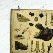School poster J.B. Wolters