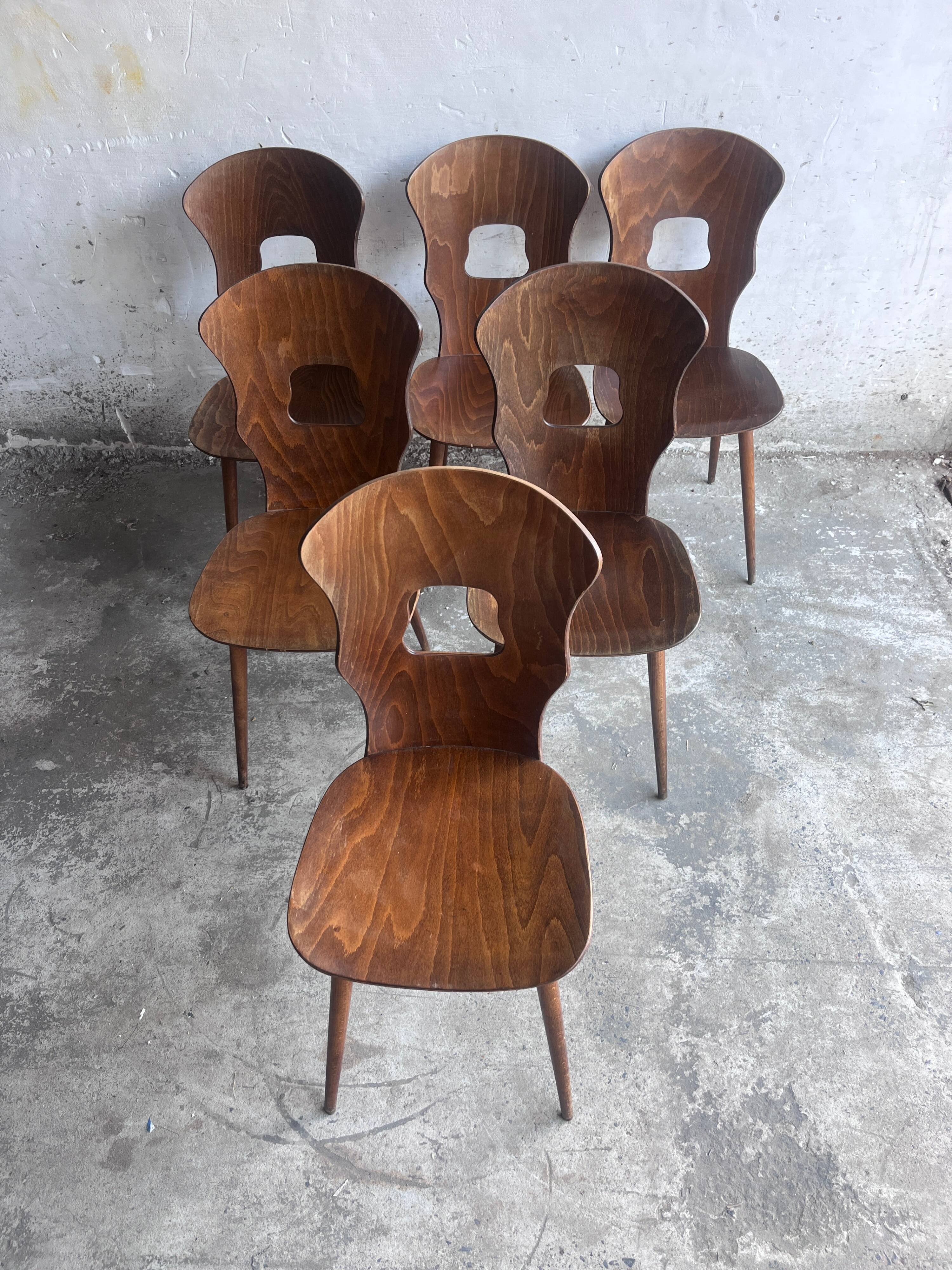 Set of six plywood dining chairs by Baumann, France, 1950s.