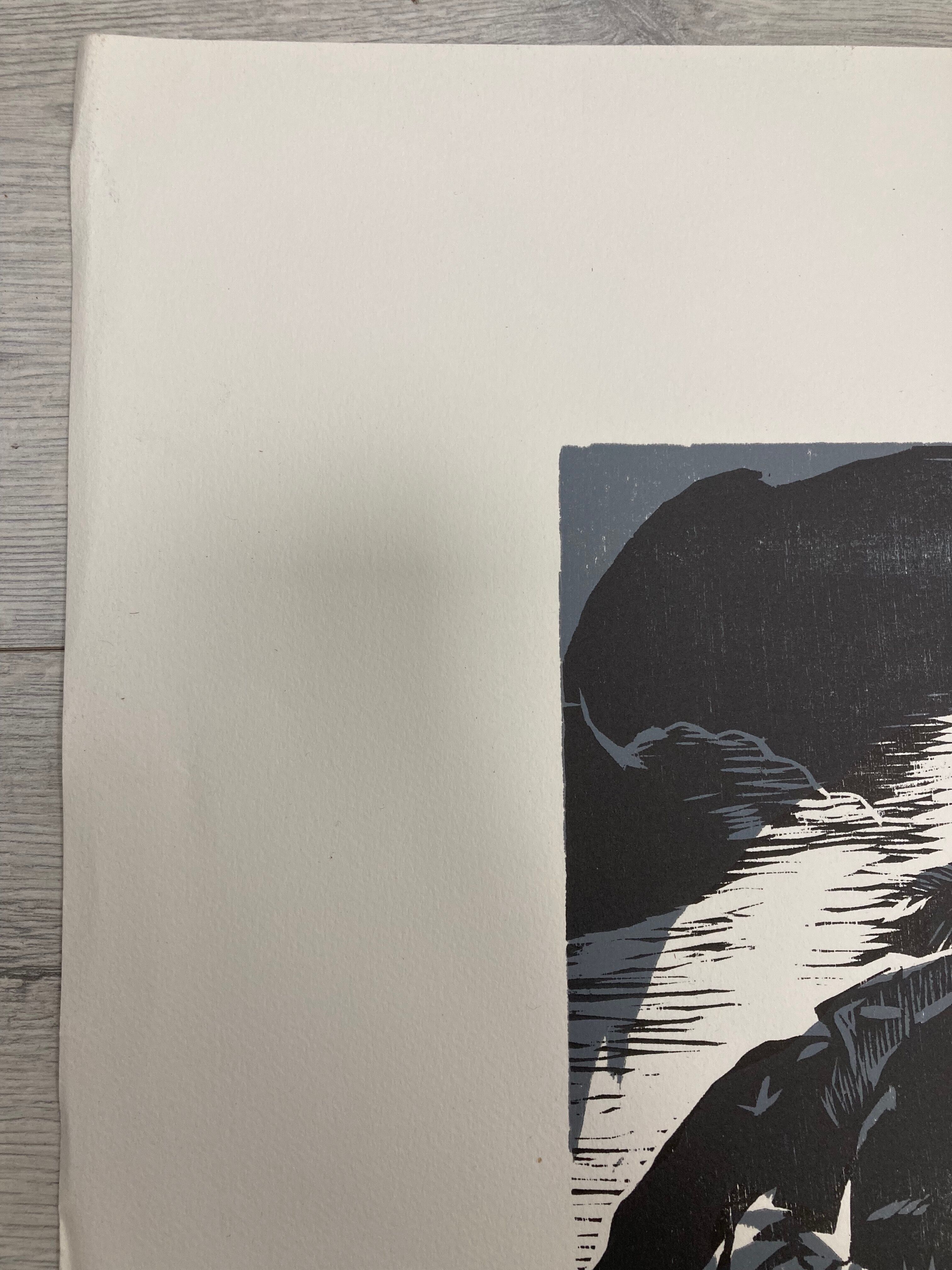 Illustration Le Bois des Cocotiers