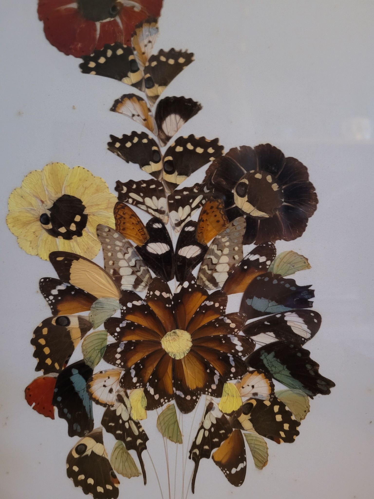 Vintage painting flowers wings of naturalized butterflies