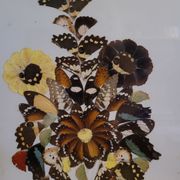 Vintage painting flowers wings of naturalized butterflies