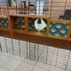 Meuble cosy, année 1950/60