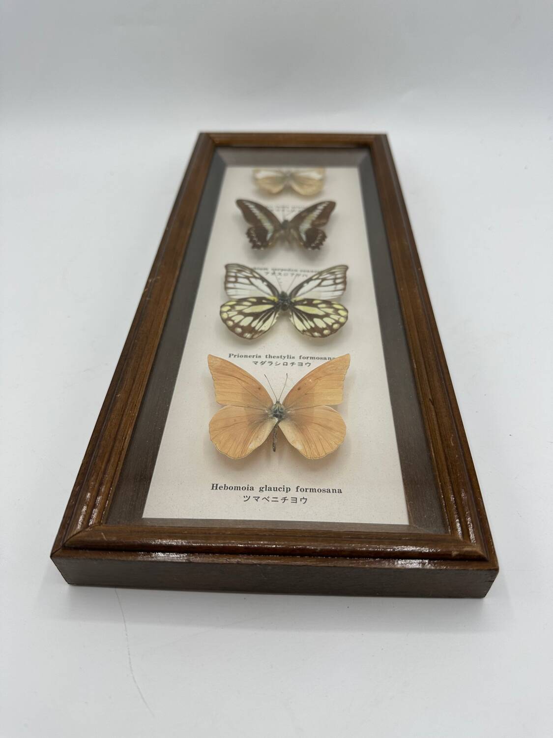 Neutralized butterfly frame