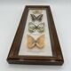 Neutralized butterfly frame