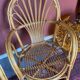 2 vintage rattan armchairs