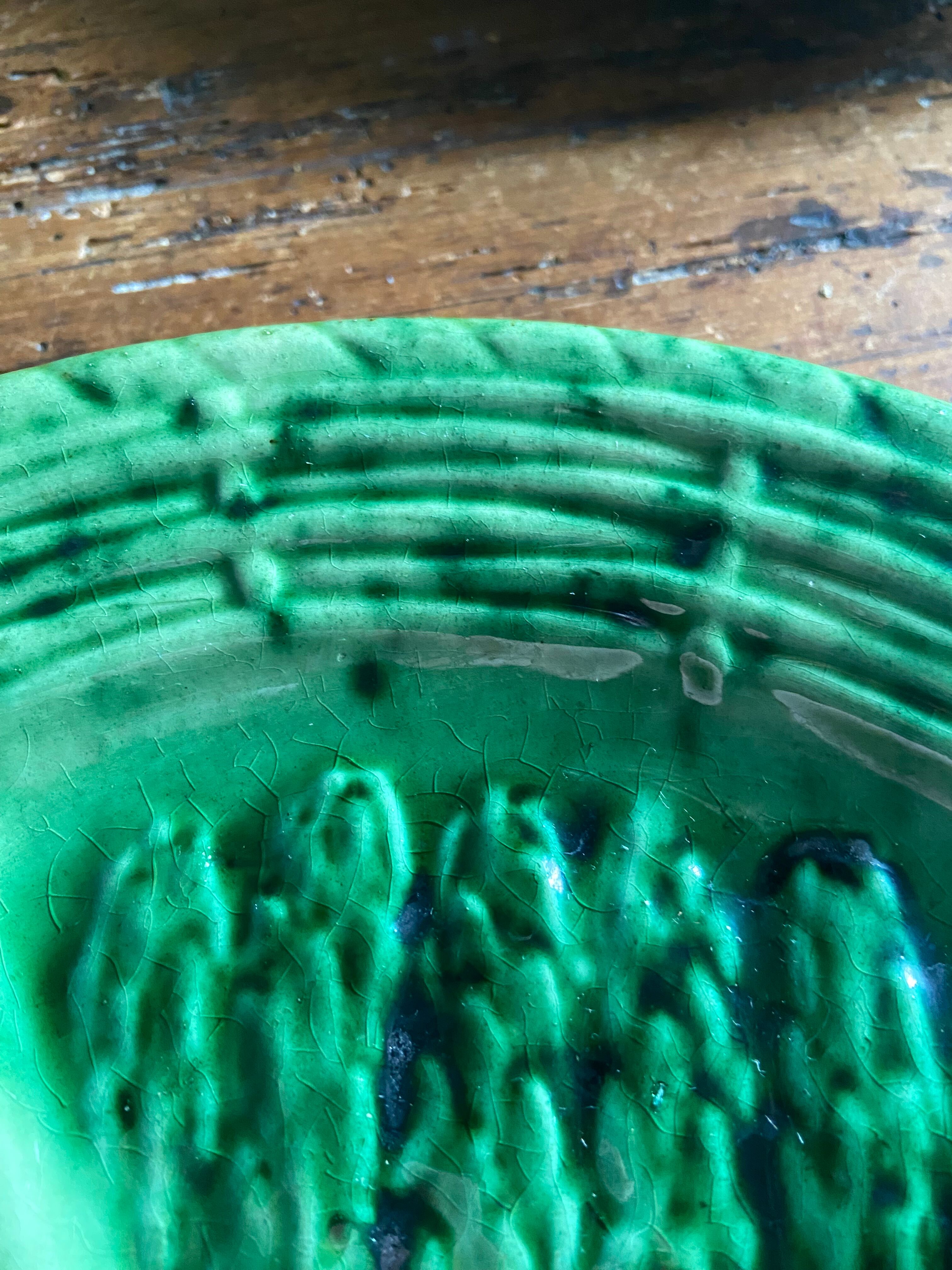 Green asparagus plates in slurry Vallauris 6 pieces