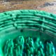 Green asparagus plates in slurry Vallauris 6 pieces