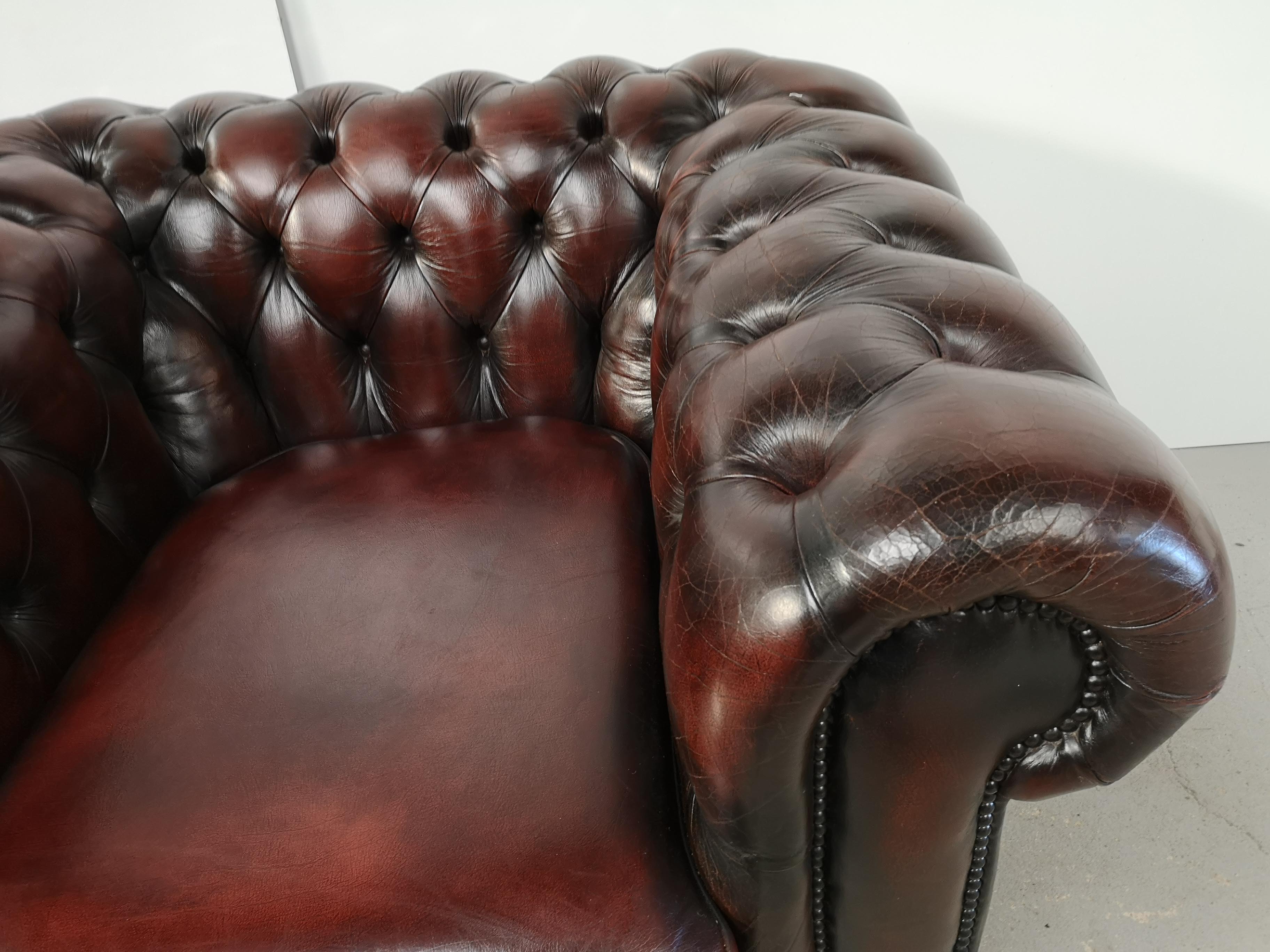 Armchair chesterfield mahogany leather English style