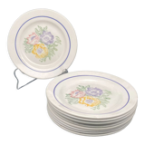 Ceramic dessert or cheese plates with floral pattern