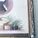 Ancient framed duck