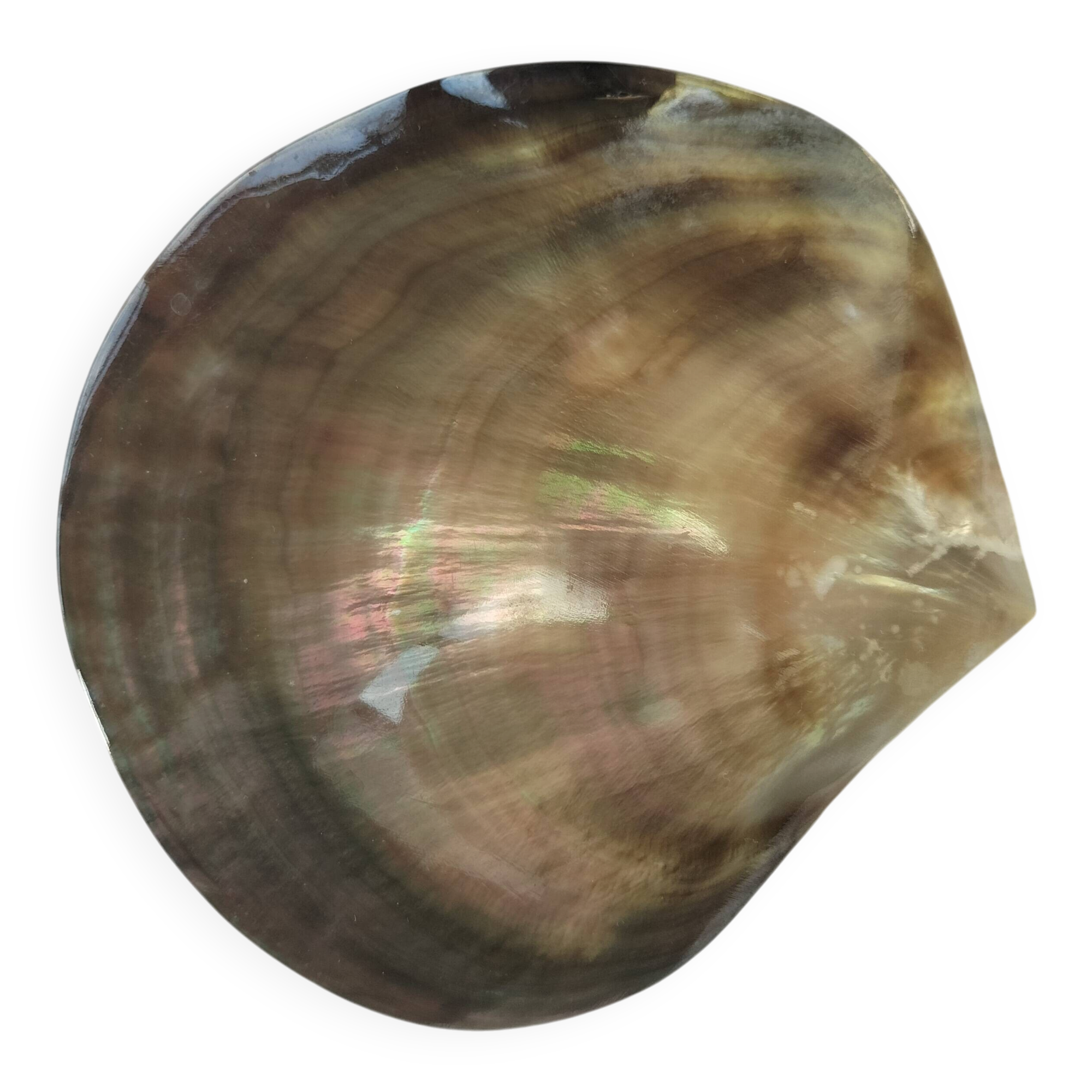 Shell-shaped pocket tray from the pearl oyster of the islands.