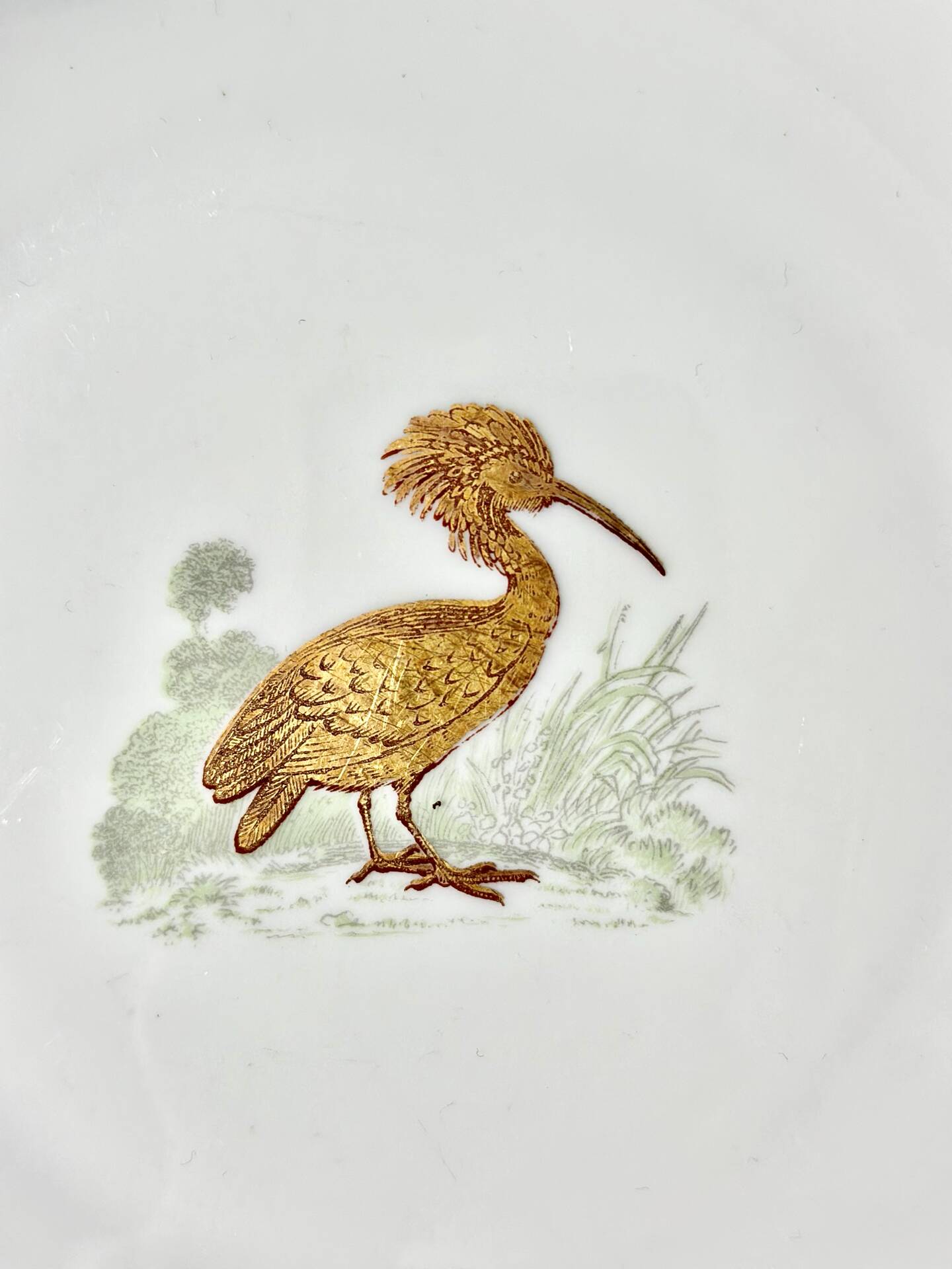 Service Bernardaud Les oiseaux d’or