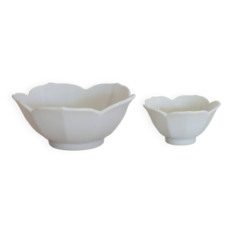 Flower-shaped bowl and cup