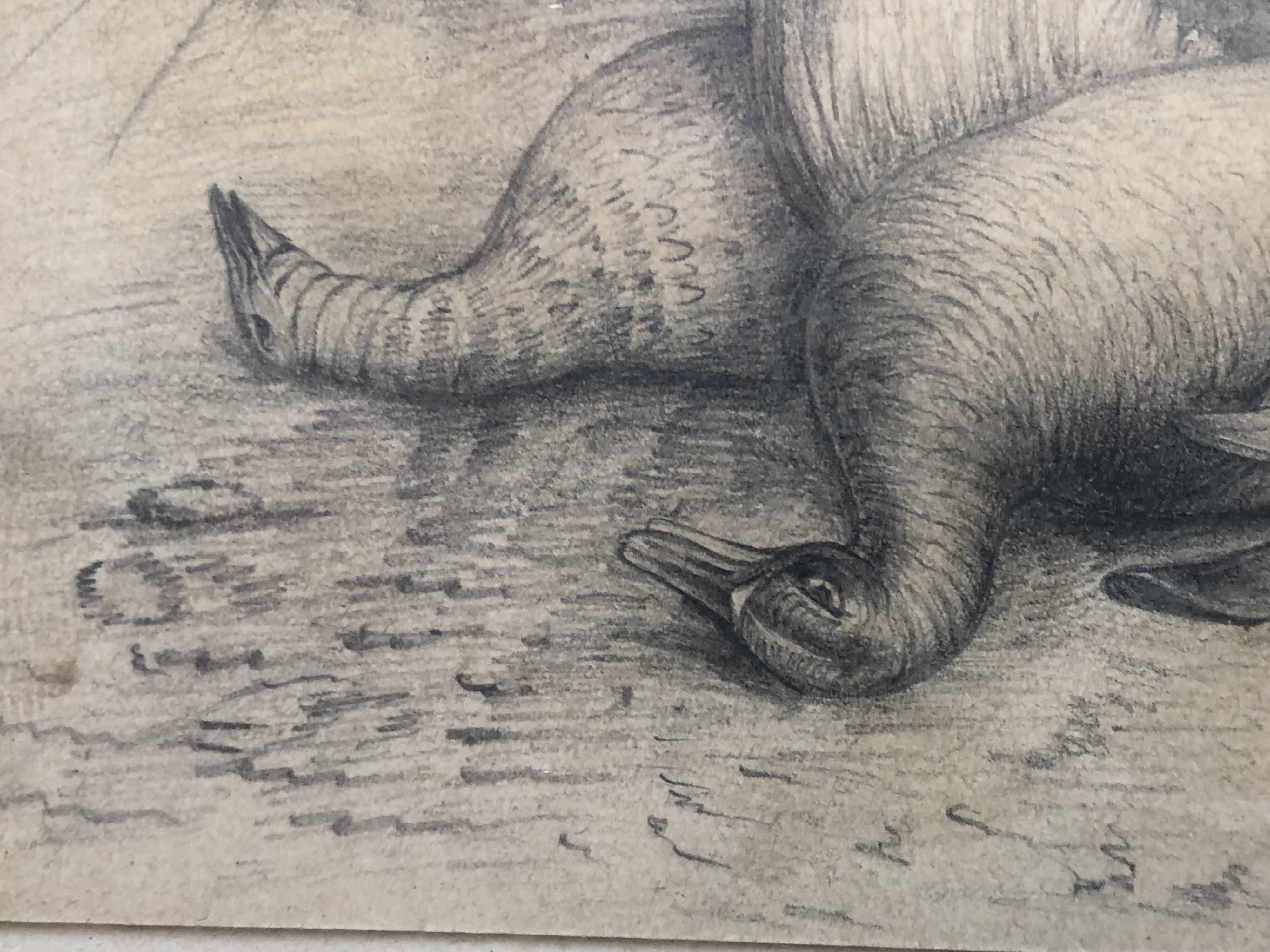 Drawing 1900 lead pencil still life hunting painting game trophy, signed jm, hunter