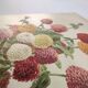 Botanical engraving from 1897 - Zinnia elegant Double Lilliput Varié - Original plate, Lithograph