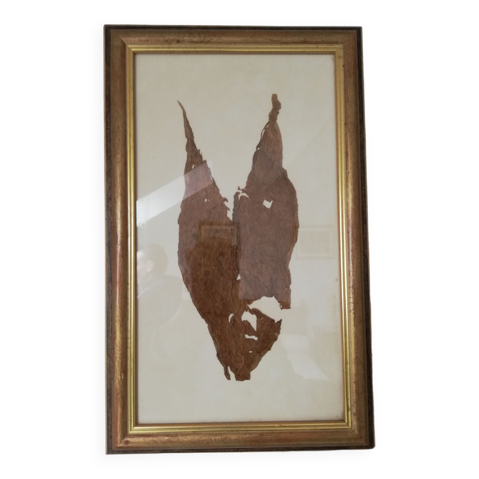 Tableau décoratif avec feuille de tabac de CUBA