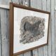 Gravure originale de Robert Hainard
