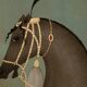 Painted canvas featuring a brown-coated Indian horse in profile. Contemporary.
