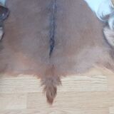 New goatskin