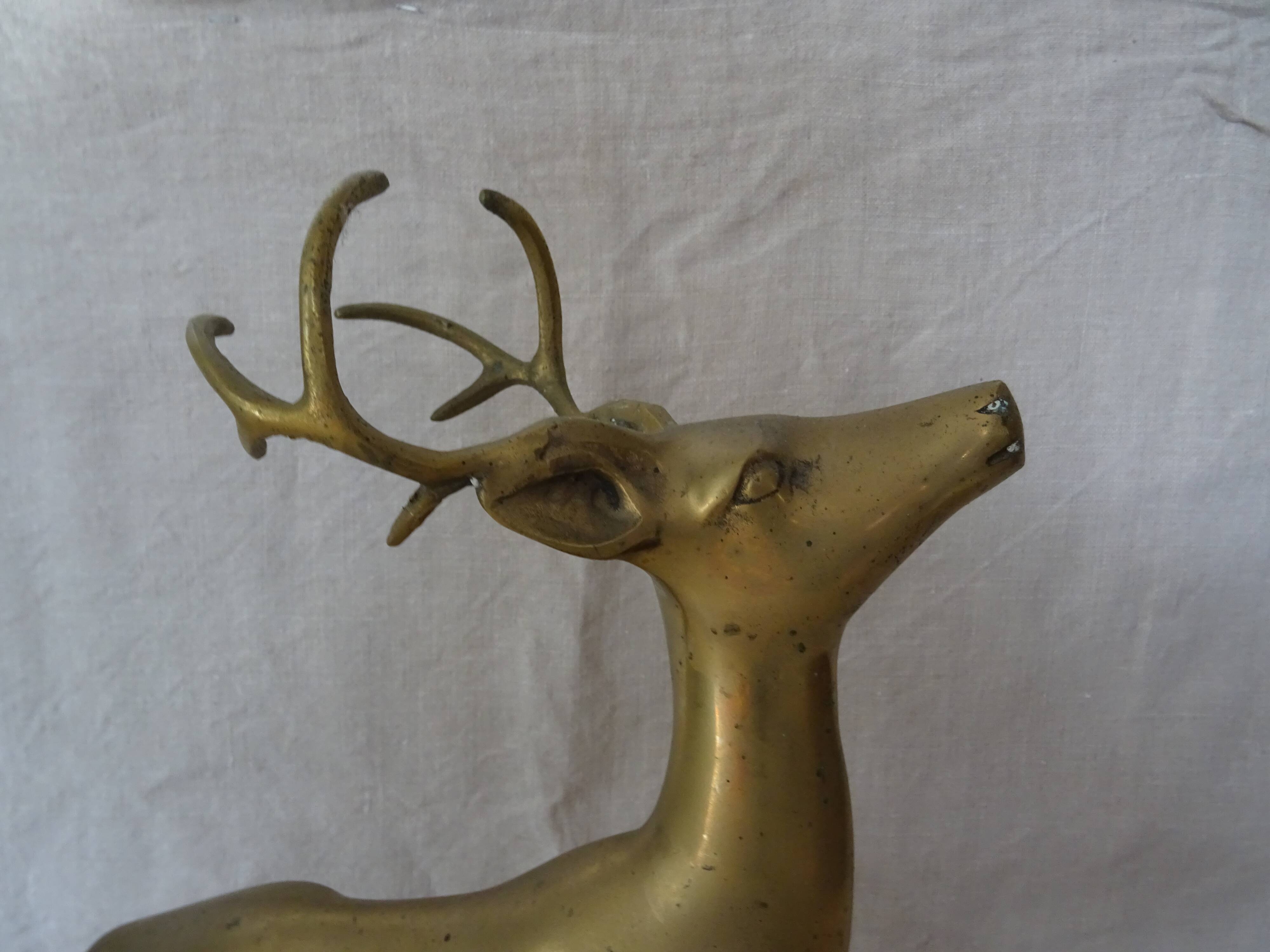 Animal brass royal deer
