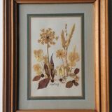 Authentic herbarium table