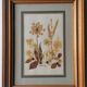 Tableau herbier authentique