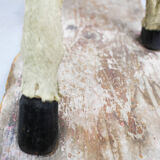 Victorian taxidermy toy horse, late 19th century.