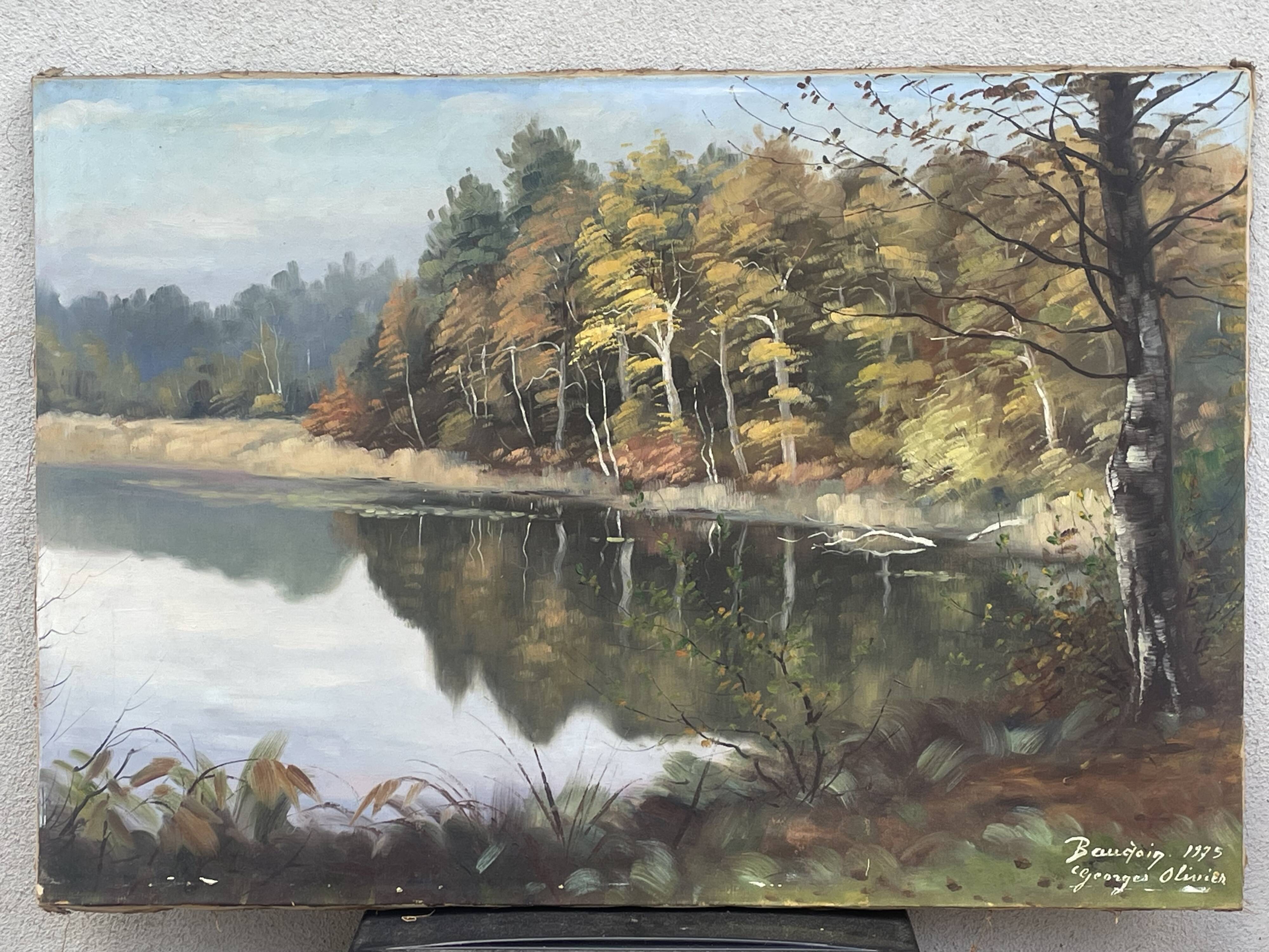 Oil on canvas lake landscape signed go baudoin xxth - 1975