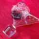 Cristallerie Royales de Champagne decanter
