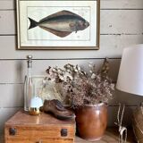 Old lithograph Morubel, the halibut