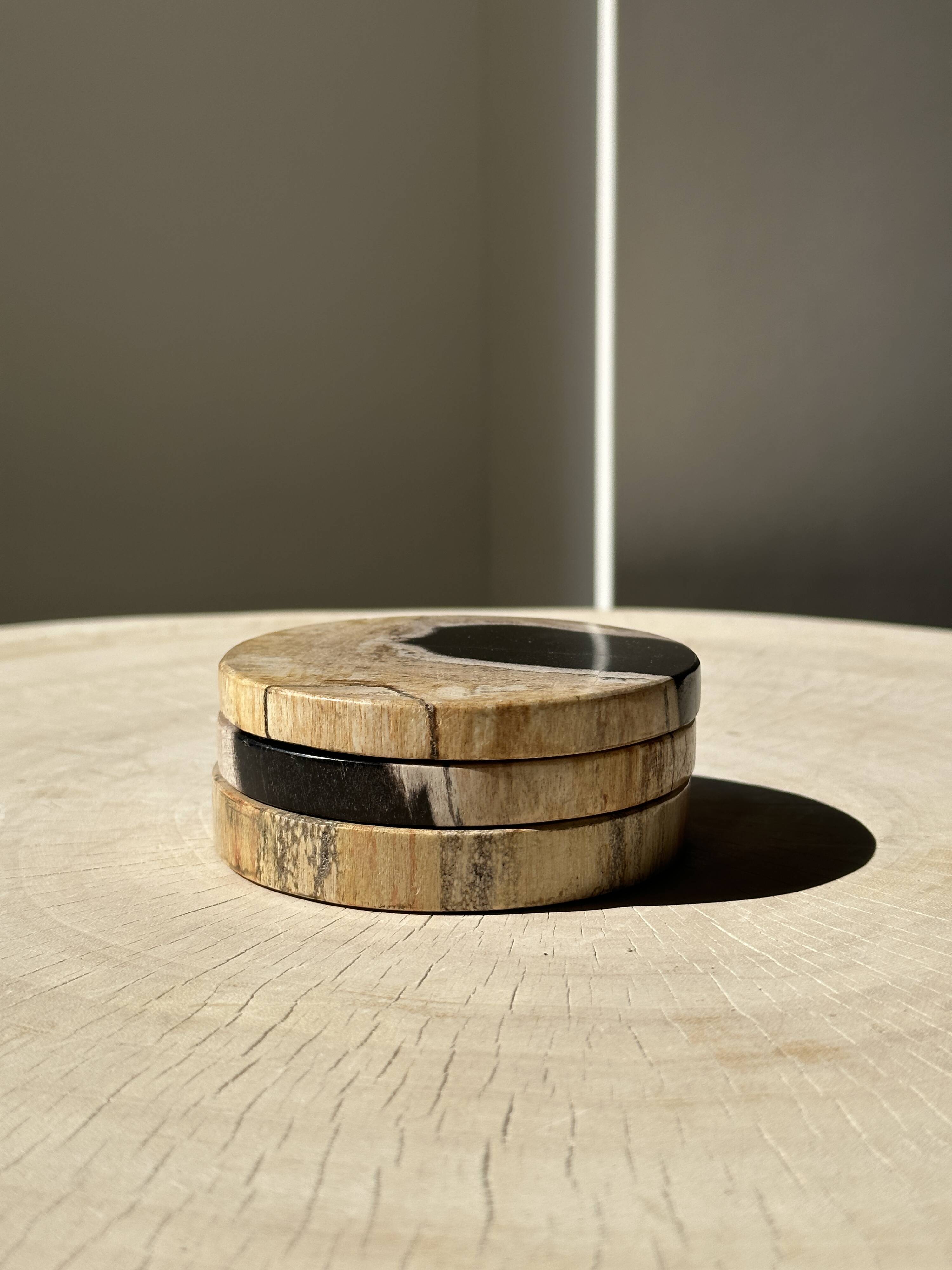 Set of 3 fossilized wood coasters (clear)