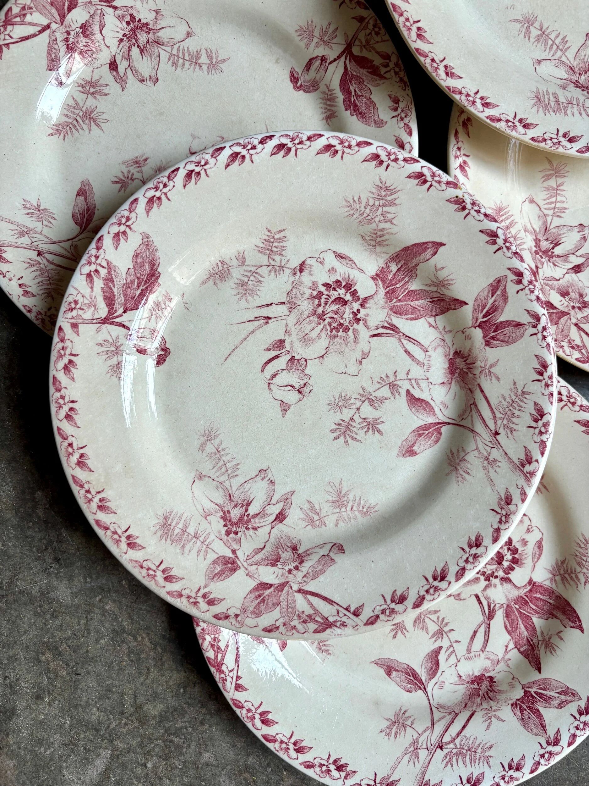 6 assiettes plates Gien en terre de fer rose, service "Roses de Noël"