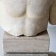 Plaster bust of Apollo
