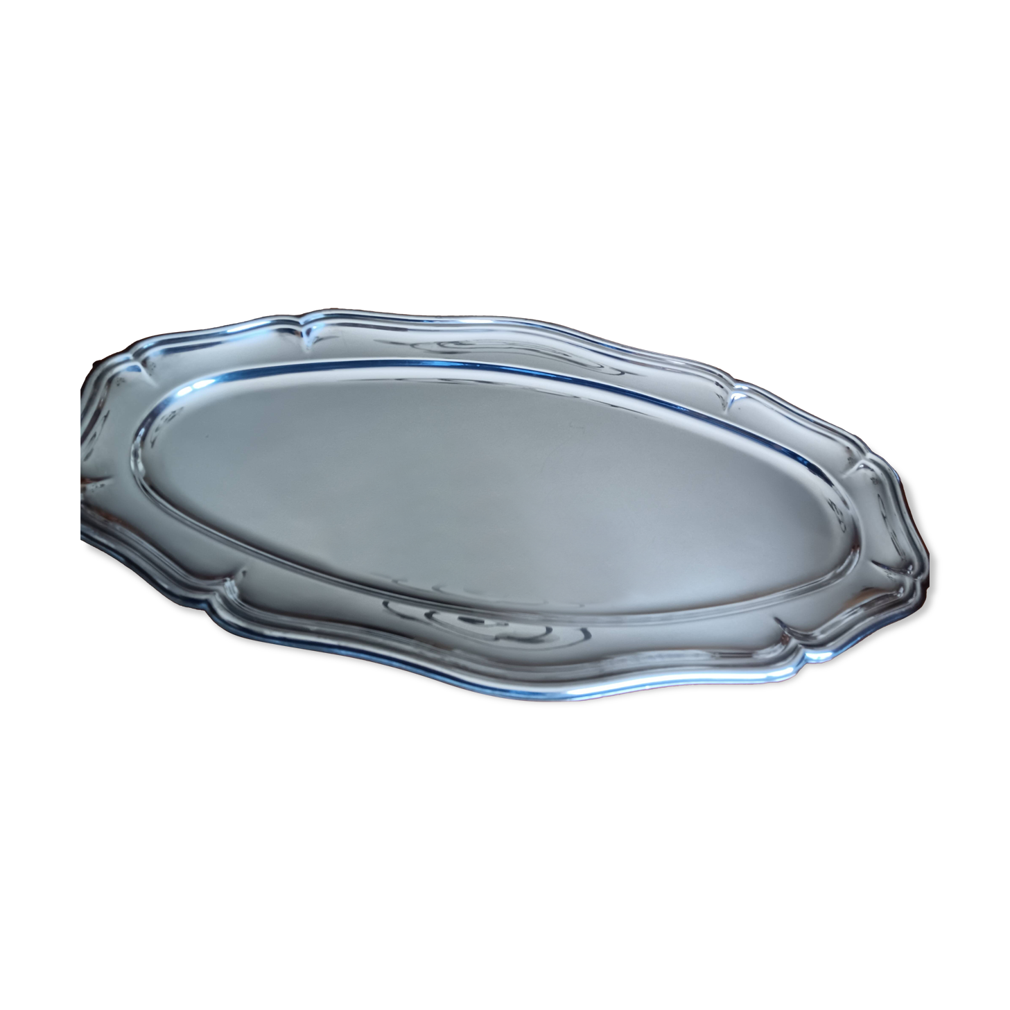 Silver fish dish