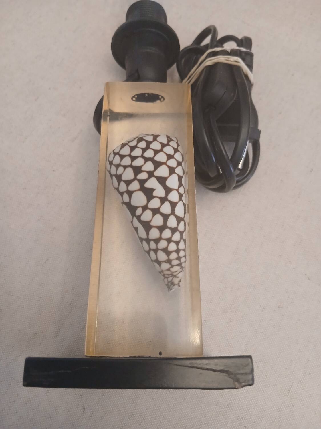 Shell inclusion lamp