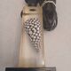 Lampe inclusion coquillage
