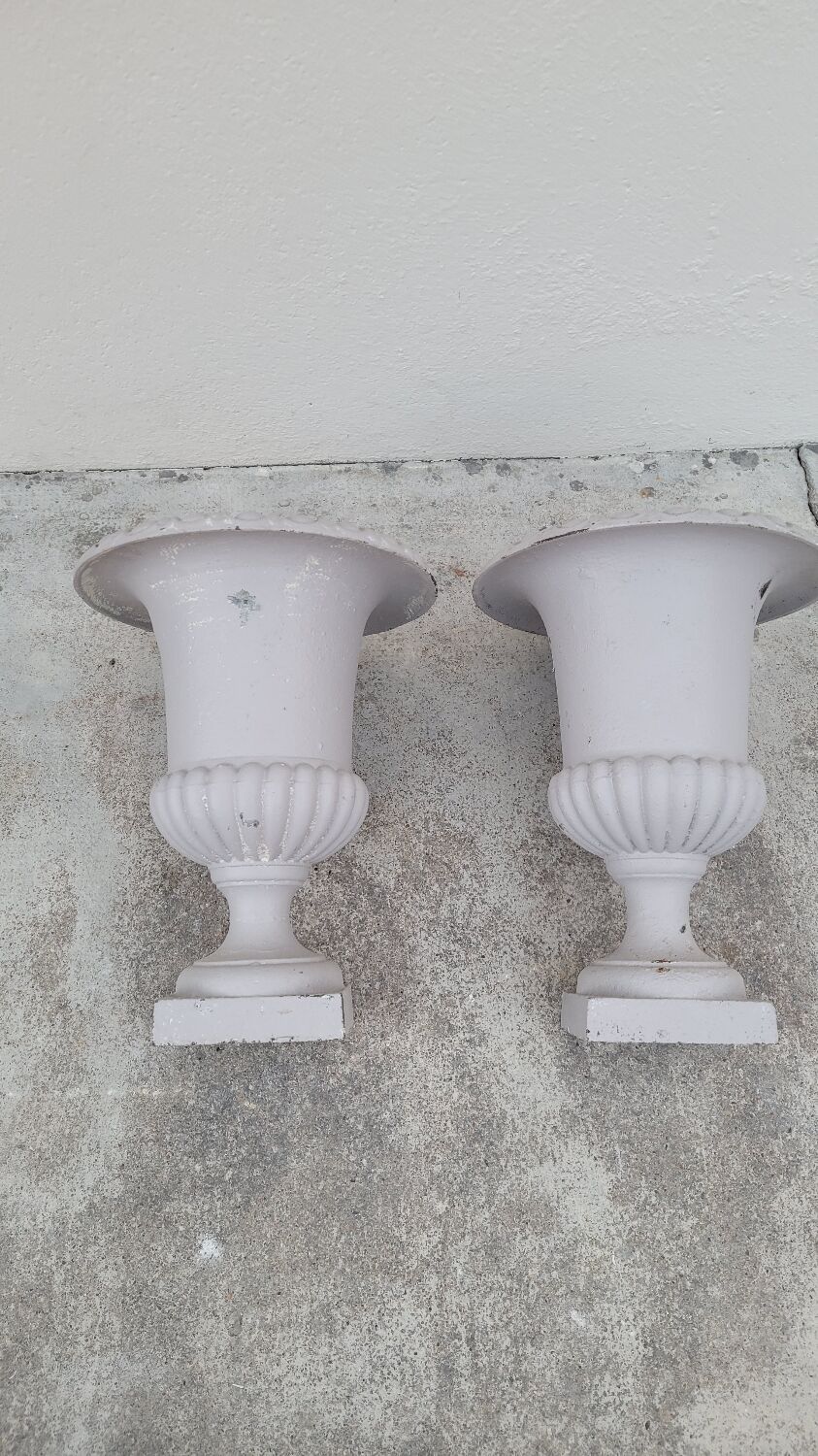 Pair of 19th century cast iron medicis vases
