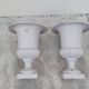 Pair of 19th century cast iron medicis vases