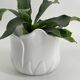 Cache pot en forme de tulipe porcelaine blanc vintage