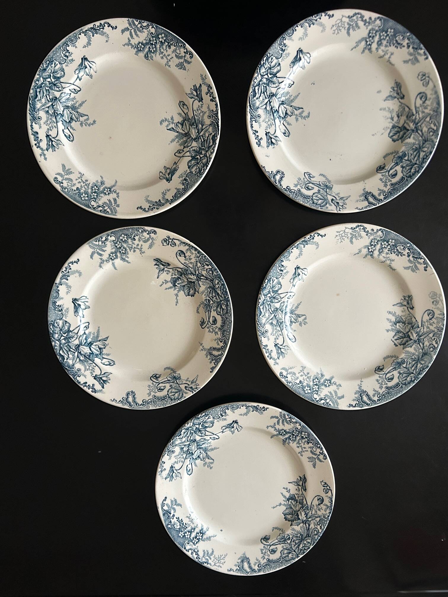 13 flat plates Terre de Fer Louis Graves