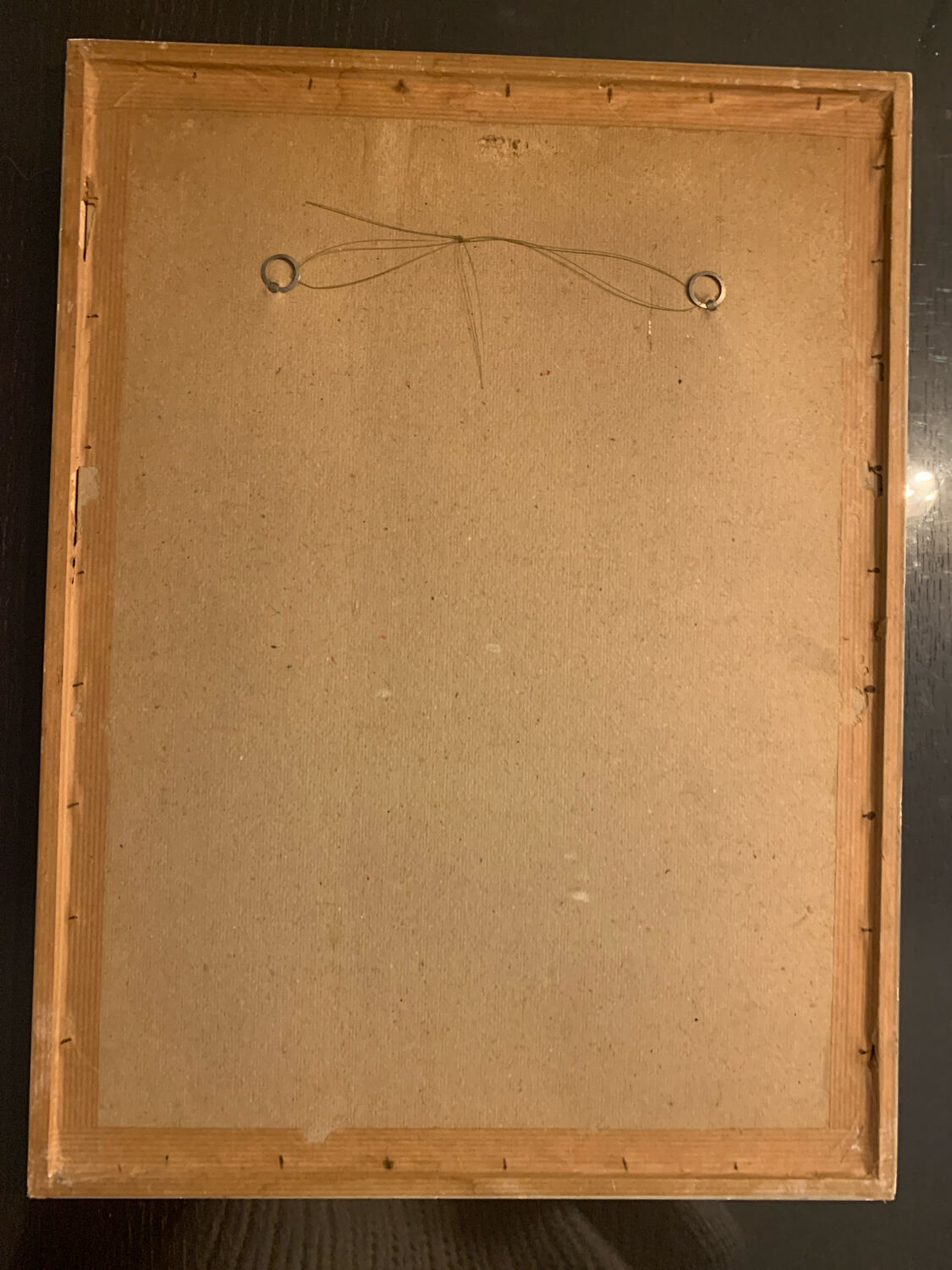 Lithograph J. Gould & HC Richter