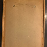 Lithograph J. Gould & HC Richter