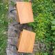 Paire de chevets style directoire