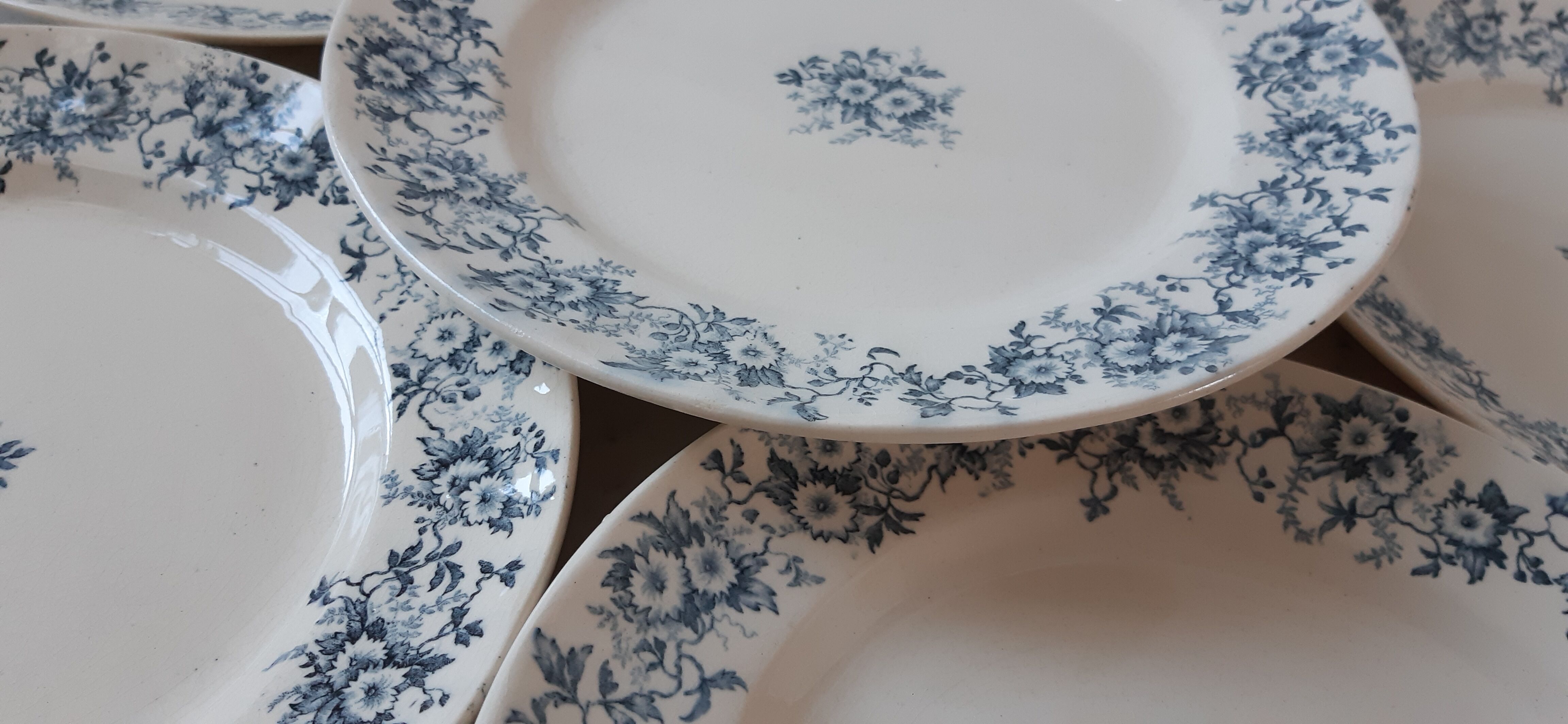 Set of 6 flat plates Terre de Fer model "Aster" XIXth