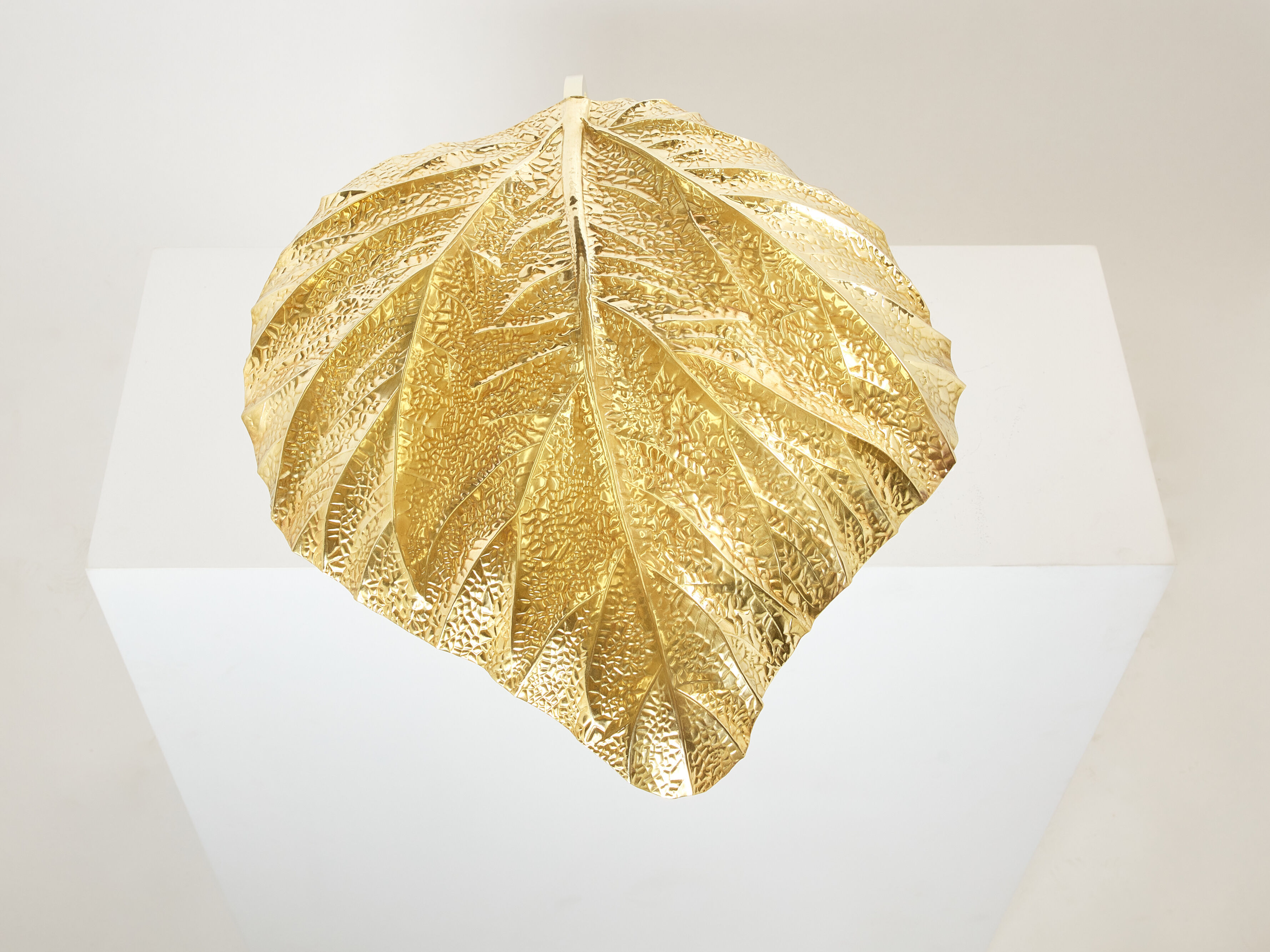 Rhubarb lamp in brass by Tommaso Barbi 1970