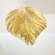Rhubarb lamp in brass by Tommaso Barbi 1970