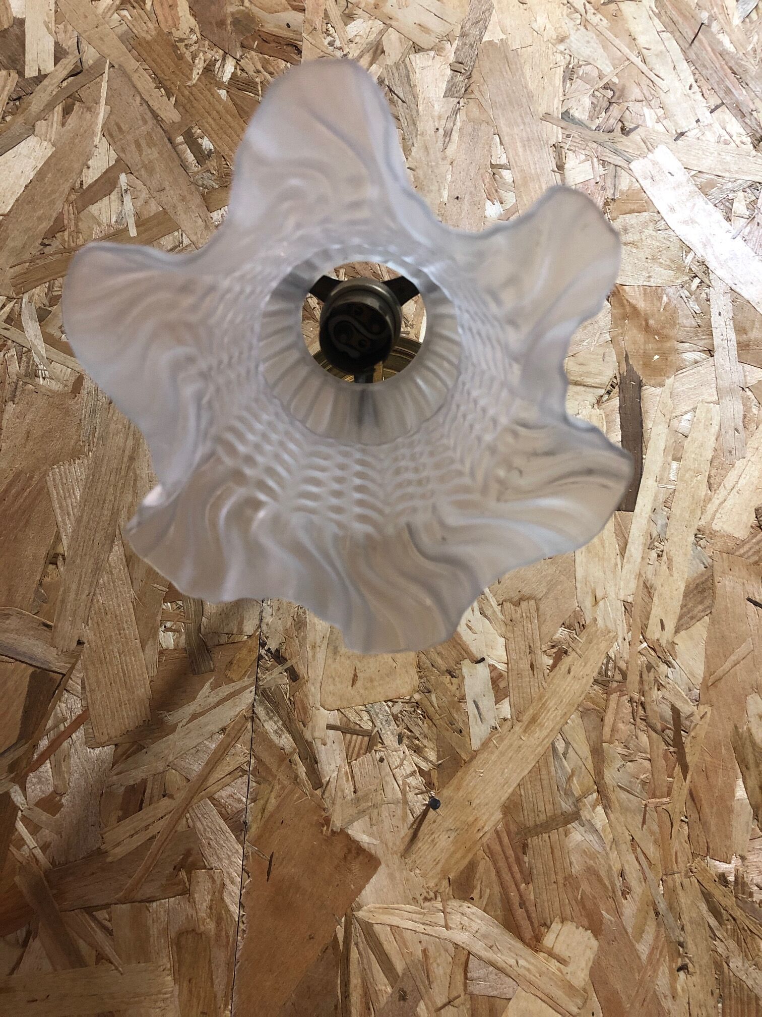 Tulip wall lamp sandblasted glass