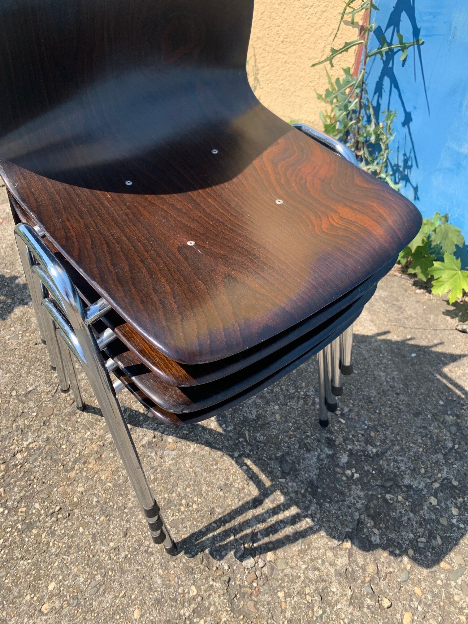 Set of 2 Galvanitas S26 Pagholz chairs, 1960s