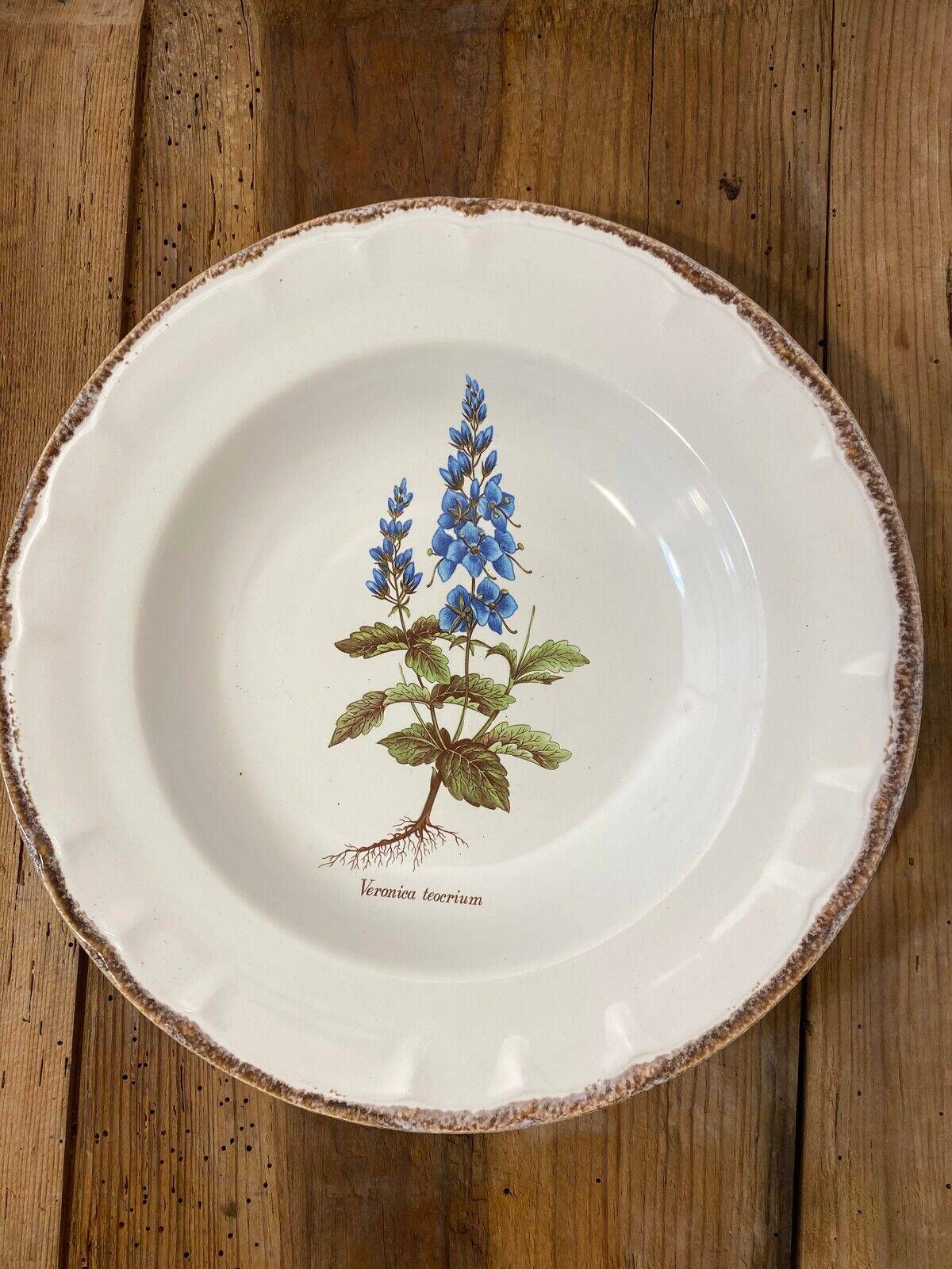 Set of 5 botanical deep plates, ADP Haute Provence